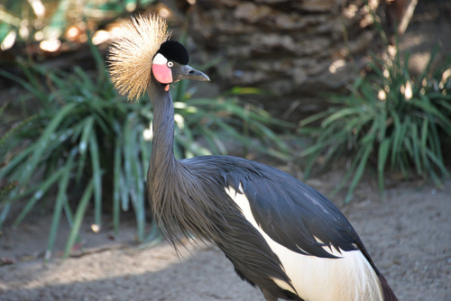 World of Birds Wildlife Sanctuary.